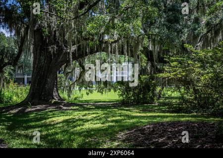 Magnolia Plantation à Charleston, Caroline du Sud Banque D'Images