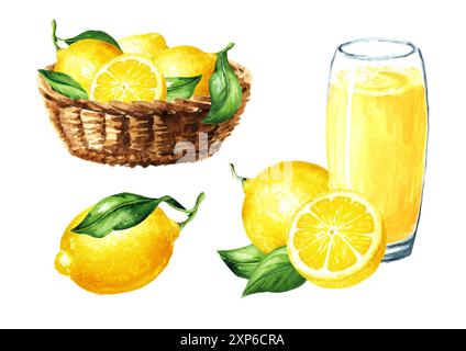 Ensemble de fruits de citron frais. Illustration d'aquarelle dessinée à la main isolée sur fond blanc Banque D'Images