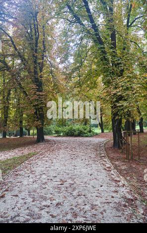 Promenez-vous sur le sentier d'automne dans un magnifique parc entouré de verdure luxuriante pour une expérience sereine Banque D'Images