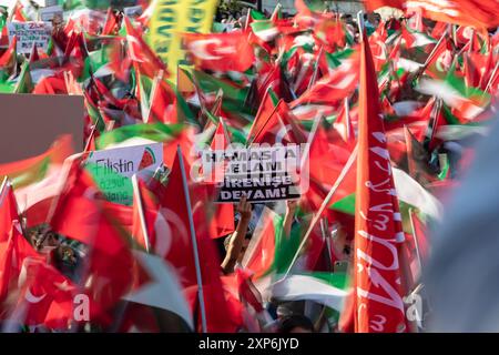 Istanbul, Turquie. 03 août 2024. Les manifestants brandissent des drapeaux et une pancarte pendant la manifestation. Des manifestants pro-palestiniens se sont rassemblés sur la place Sainte-Sophie à Istanbul pour condamner l'assassinat du dirigeant du Hamas Ismail Haniyeh. Des milliers de personnes ont assisté à l'événement 'dernier appel du martyr Haniyeh', organisé par la plate-forme de soutien à la Palestine. Crédit : SOPA images Limited/Alamy Live News Banque D'Images