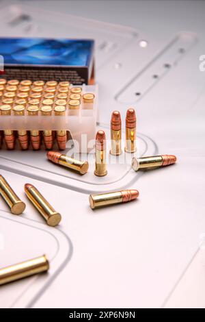 Cartouches de fusil à petit calibre. Munitions pour armes de calibre 22 Banque D'Images