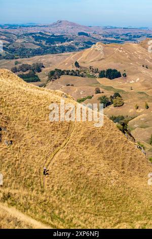 Les gens marchent et trekking seuls l'un des nombreux sentiers autour et en dessous du pic te Mata près de Hawkes Bay dans l'île du Nord de la Nouvelle-Zélande Banque D'Images