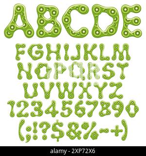 Alphabet, lettre, nombre et signe en gelée verte avec tranches de kiwi. Objet vectoriel isolé sur fond blanc. Illustration de Vecteur