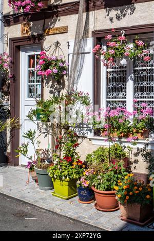 Cottages pittoresques avec des expositions florales vibrantes à l'extérieur à Saint Valery-sur-somme, France. Évocateur. Floral. Français. Couleurs éclatantes. Banque D'Images