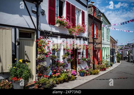 Cottages pittoresques avec des expositions florales vibrantes à l'extérieur à Saint Valery-sur-somme, France. Évocateur. Floral. Français. Couleurs éclatantes. Banque D'Images