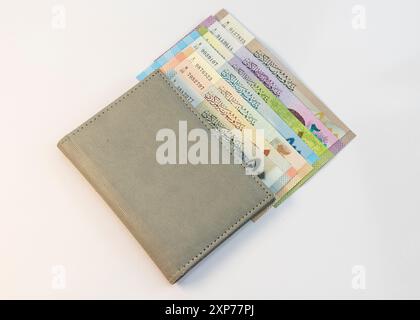 Syrie billets ensemble complet de différentes coupures dans un portefeuille sur fond blanc isolé avec espace de copie. Banque D'Images