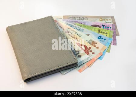 Billets syriens de cinquante, cent, cinq cents, mille, deux mille et cinq mille billets isolés sur fond blanc Banque D'Images