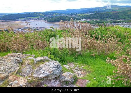 Vue sur Conwy depuis le château de Deganwy au sommet de la colline Banque D'Images