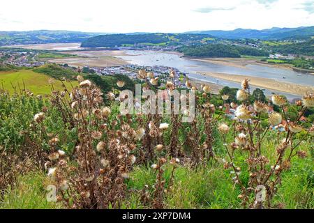 Vue sur Conwy depuis le château de Deganwy au sommet de la colline Banque D'Images