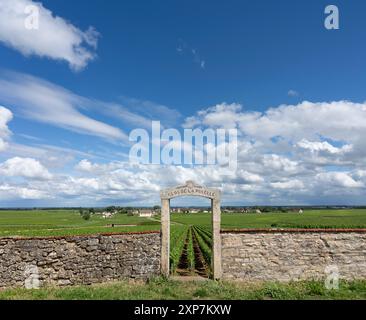 Porte d'entrée en pierre d'un vignoble du Clos de la Pucelle sur la Côte de Beaune, Bourgogne, France. Banque D'Images