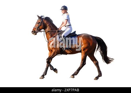 Un équestre habillé d'une tenue blanche monte sur un majestueux cheval brun, mettant en valeur une forme de trot précise sous la lumière du soleil. Image isolée sur blanc b Banque D'Images