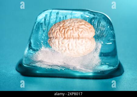 Cerveau humain enfermé dans de la glace translucide, symbolisant la préservation et les complexités de la pensée. Parfait pour les sujets sur la psychologie, les neurosciences, ou c Banque D'Images
