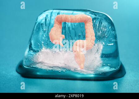 Modèle d'intestin humain encapsulé dans la glace, mettant l'accent sur l'anatomie. Idéal pour l'enseignement médical, les études d'anatomie ou les campagnes de sensibilisation à la santé. Banque D'Images
