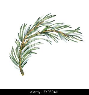 Branche de pin avec aiguilles vertes, plantes forestières pour l'hiver et le décor de noël. Illustration aquarelle, dessinée à la main. Objet isolé sur un blanc Banque D'Images