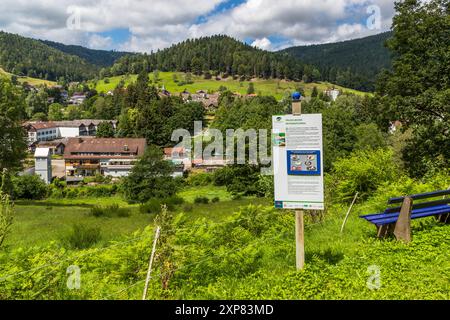 Sentier de randonnée myrtille, Enzklösterle, Bade-Württemberg, Allemagne Banque D'Images