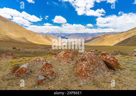 Fossile formé sur les roches d'un col de montagne de haute altitude appelé Warila au Ladakh, en Inde. Banque D'Images