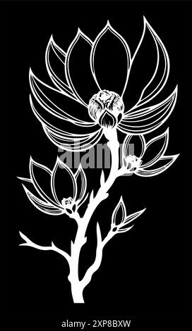 Dessin graphique blanc simple de fleur de magnoli sur fond noir, logo, tatouage Banque D'Images