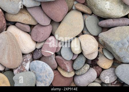 Galets colorés sur la plage Penally, près de Tenby Banque D'Images