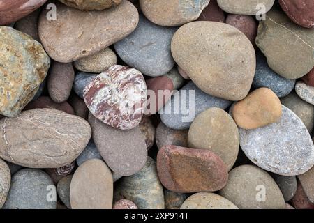 Galets colorés sur la plage Penally, près de Tenby Banque D'Images