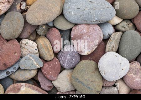 Galets colorés sur la plage Penally, près de Tenby Banque D'Images