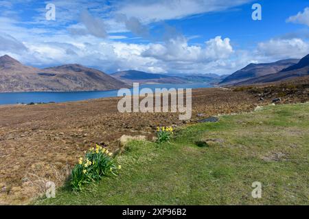 Little Loch Broom depuis la route A832 près de Badcaul, Highland Region, Écosse, Royaume-Uni Banque D'Images