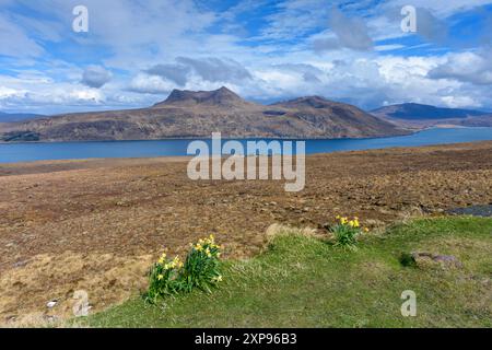 Beinn Ghobhlach sur Little Loch Broom depuis la route A832 près de Badcaul, Highland Region, Écosse, Royaume-Uni Banque D'Images