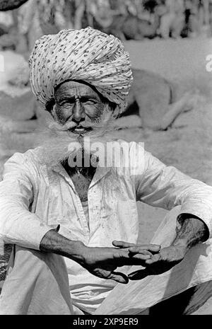 Les chameaux sont achetés et vendus à la Foire annuelle des chameaux de Pushkar pendant la pleine lune de novembre chaque année à Pushkar, Inde - 1989 Banque D'Images
