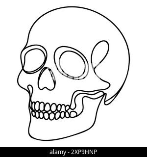 Scull humain. Une ligne continue crâne d'Halloween isolé sur fond blanc. Illustration vectorielle de contour de dessin au trait Illustration de Vecteur