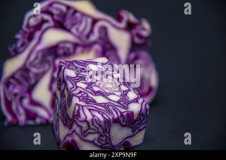 Envoûtant chou violet sur fond noir avec un motif étonnant et des pièces texturées blanches. Idéal pour le menu, la photographie culinaire, la cuisine. Banque D'Images