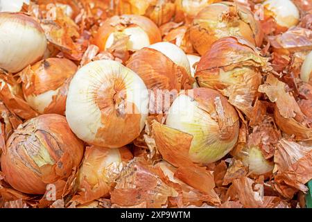 oignons blancs pelés dans des récipients au supermarché. Vitamines et jeunesse Banque D'Images