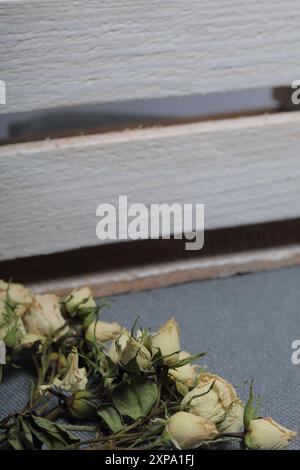 Roses beiges séchées. Sur le fond de texture rugueuse de tissu gris. A proximité se trouve une boîte en bois, peinte en blanc. Banque D'Images