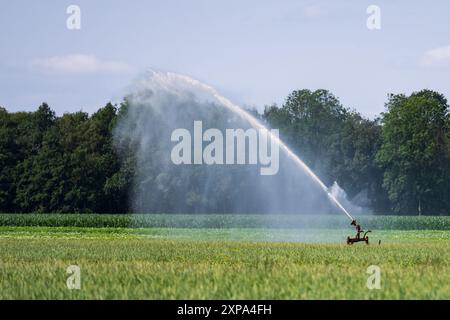 Siddeburen - Un agriculteur irrigue son champ à Siddeburen. ANP / Hollandse Hoogte Venema Media pays-bas Out - belgique Out Banque D'Images