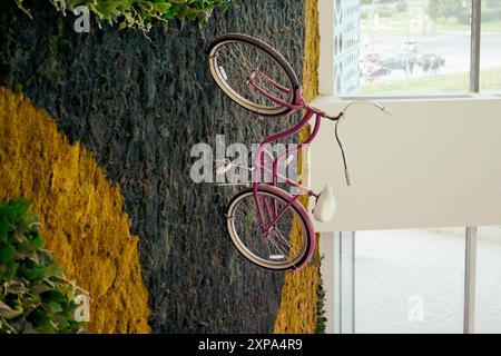 Vélo rose monté sur un mur couvert de mousse avec des fenêtres en arrière-plan. Décoration intérieure et concept urbain Banque D'Images