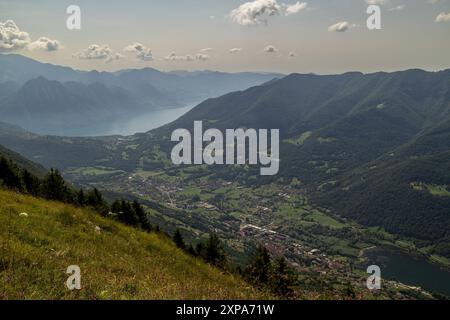 Ranzanico, Italie - 4 août 2024 - Groupe de vaches debout dans une rangée dans le pâturage, curieux et ludique sous un ciel nuageux avec des nuages Banque D'Images