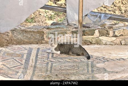 Skelani, Bosnie-Herzégovine – février 2023 : site de fouilles Municipium Malvesiatium Skelani avec l'un des plus grands Mosaiks des Balkans avec un Banque D'Images