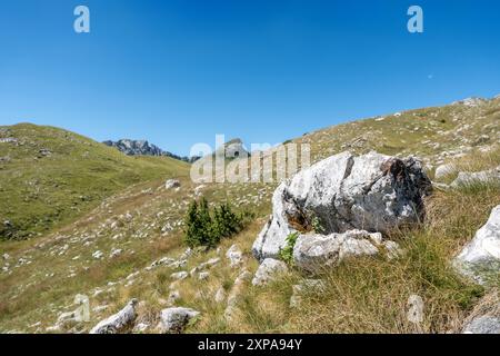 Majestueuse journée d'été dans le parc national de Durmitor. Village de Zabljak, Monténégro, Balkans, Europe. Image pittoresque de la destination de voyage populaire. Découvrez Banque D'Images