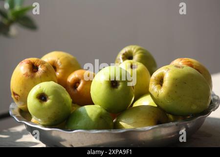 Jujube indien ou Ber (Ziziphus mauritiana) dans un bol : (pix Sanjiv Shukla) Banque D'Images