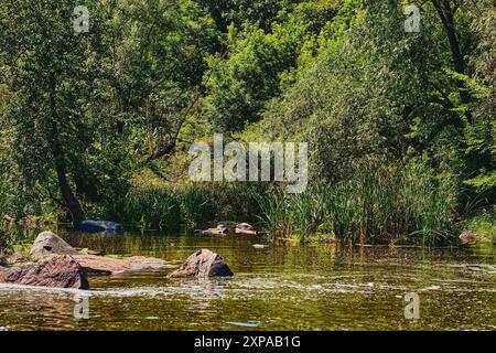 un grand courant naturel d'eau coulant dans un canal vers la mer, un lac, ou un autre tel courant. Banque D'Images