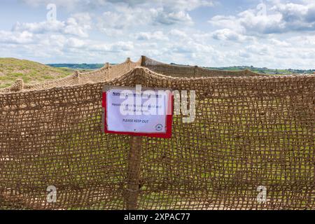 Un projet de conservation dans le Northam Burrows Country Park où une clôture de hesse est utilisée pour recueillir le sable afin de reconstruire les dunes de sable érodées sur le paysage national de la côte nord du Devon, en Angleterre. Banque D'Images