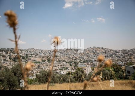 Hébron, Palestine. 22 juillet 2024. Hébron est une ville palestinienne sous contrôle israélien, en Cisjordanie occupée. Breaking the silence est un groupe d’anciens soldats de Tsahal qui s’élèvent contre l’occupation israélienne et mènent régulièrement des tournées autour d’Hébron. Crédit : SOPA images Limited/Alamy Live News Banque D'Images