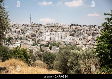 Hébron, Palestine. 22 juillet 2024. Une vue d'Hébron, en Cisjordanie, une ville sous occupation militaire israélienne. Breaking the silence est un groupe d’anciens soldats de Tsahal qui s’élèvent contre l’occupation israélienne et mènent régulièrement des tournées autour d’Hébron. Crédit : SOPA images Limited/Alamy Live News Banque D'Images