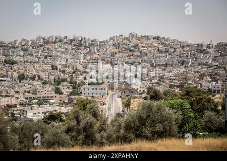 Hébron, Palestine. 22 juillet 2024. Hébron, en Cisjordanie, est une ville sous occupation militaire israélienne. Breaking the silence est un groupe d’anciens soldats de Tsahal qui s’élèvent contre l’occupation israélienne et mènent régulièrement des tournées autour d’Hébron. (Photo de Sally Hayden/SOPA images/SIPA USA) crédit : SIPA USA/Alamy Live News Banque D'Images