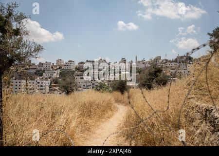 Hébron, Palestine. 22 juillet 2024. Une vue d'Hébron, en Cisjordanie, une ville sous occupation militaire israélienne. Breaking the silence est un groupe d’anciens soldats de Tsahal qui s’élèvent contre l’occupation israélienne et mènent régulièrement des tournées autour d’Hébron. (Crédit image : © Sally Hayden/SOPA images via ZUMA Press Wire) USAGE ÉDITORIAL SEULEMENT ! Non destiné à UN USAGE commercial ! Banque D'Images