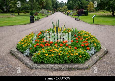 Literie d'été aux jardins botaniques de Sheffield, South Yorkshire, Angleterre. Banque D'Images