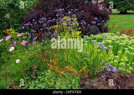 Bordure herbacée aux jardins botaniques de Sheffield en été. Yorkshire du Sud, Angleterre. Banque D'Images