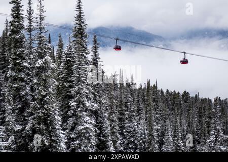 Remontée mécanique au-dessus de la forêt, Whistler, Colombie-Britannique, Canada Banque D'Images