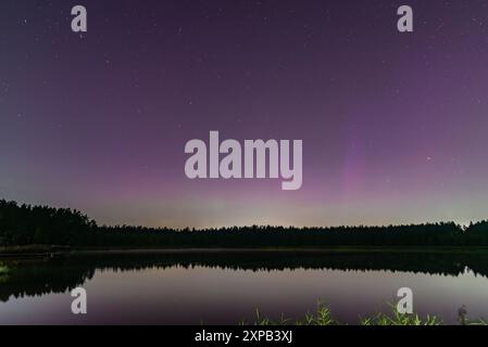 Aurora Borealis aurores boréales au-dessus du lac forestier en Lettonie dans la nuit d'août. Banque D'Images