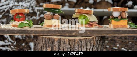 Quatre sandwichs uniques avec des ingrédients variés sur un outdo rustique Banque D'Images