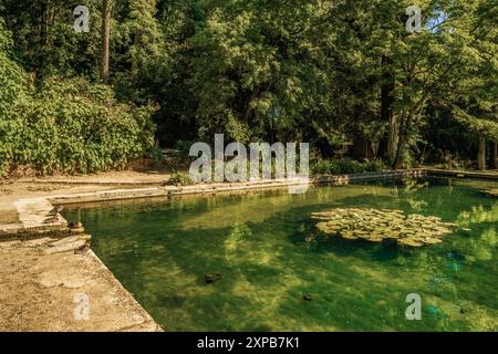 Fontaine de larmes à l'hôtel Quinta das Lágrimas dans la ville portugaise de Coimbra, Portugal Banque D'Images