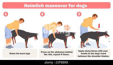 Manœuvre de Heimlich postuler pour les chiens infographie plate Illustration de Vecteur